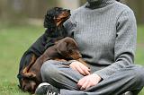 ENFANT ET CHIEN 471